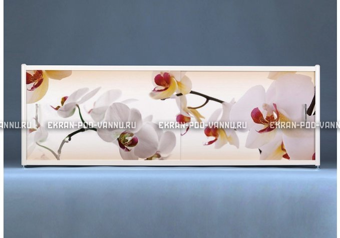 Раздвижной ФОТО экран - Orchid – купить по цене 8500 руб. в интернет-магазине в городе Рязань картинка 1