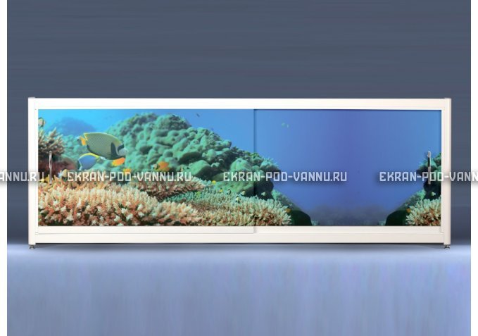 Экран на роликах EUROPLEX Коралловые рифы – купить по цене 12400 руб. в интернет-магазине в городе Рязань картинка 1